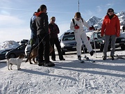 Salita invernale dai Piani al MONTE AVARO (2088 m.) il 24 gennaio 2009 - FOTOGALLERY